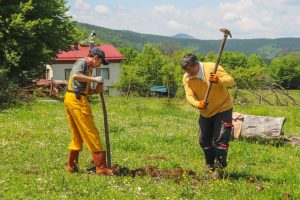 comment délimiter son potager
