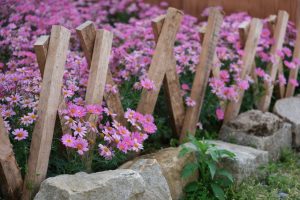 faire des bordures de jardin en bois