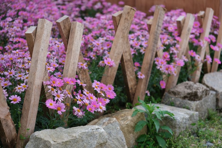 faire des bordures de jardin en bois